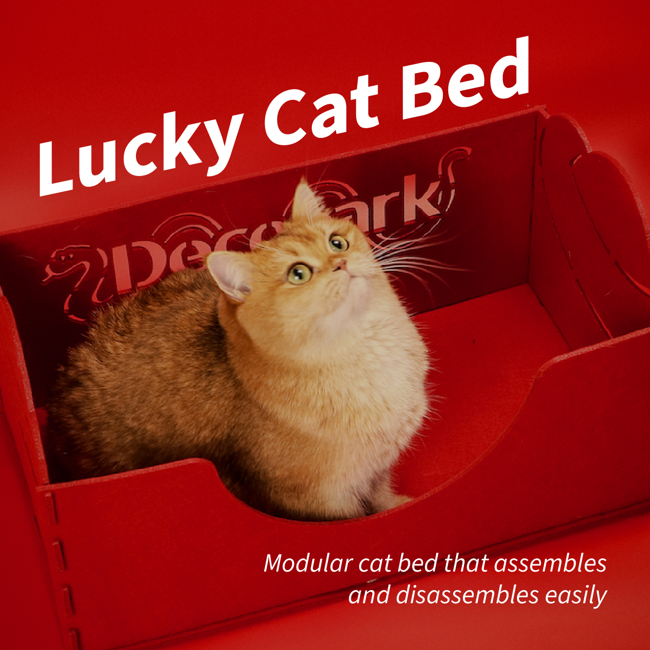 Lucky Cat Bed